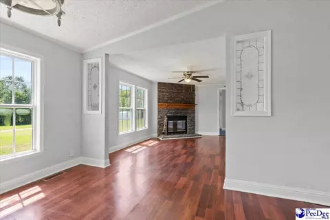 1423 Thompson Dr, Dillon, SC 29536 photo 20