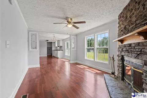 1423 Thompson Dr, Dillon, SC 29536 photo 22