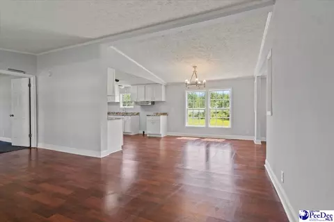 1423 Thompson Dr, Dillon, SC 29536 photo 9