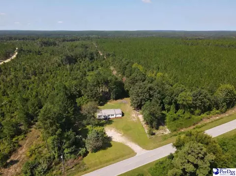 Other - 10282 Ruby-hartsville Rd, Patrick, SC 29584 photo 8 of 9