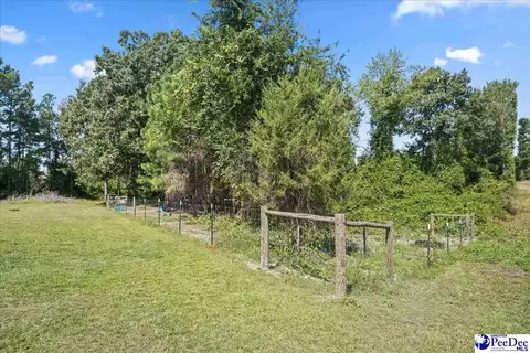 Exterior - 10282 Ruby-hartsville Rd, Patrick, SC 29584 photo 6 of 6