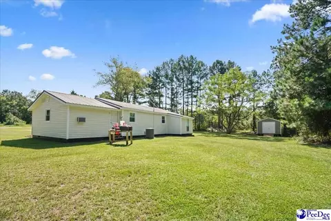 Exterior - 10282 Ruby-hartsville Rd, Patrick, SC 29584 photo 5 of 6