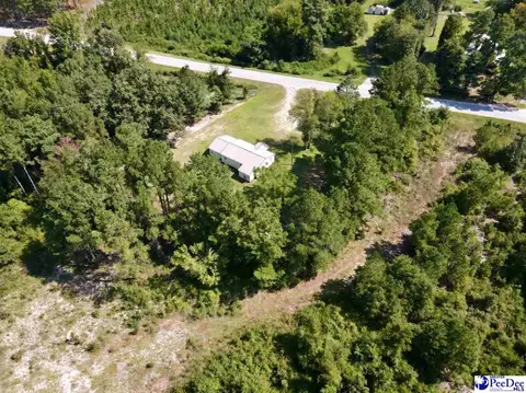 Other - 10282 Ruby-hartsville Rd, Patrick, SC 29584 photo 9 of 9