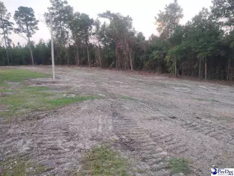 Other - 7333 7315 Highway 52 S, Society Hill, SC 29593 photo 3 of 12