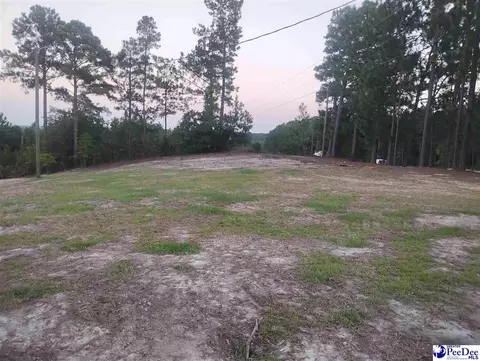 Other - 7333 7315 Highway 52 S, Society Hill, SC 29593 photo 2 of 12