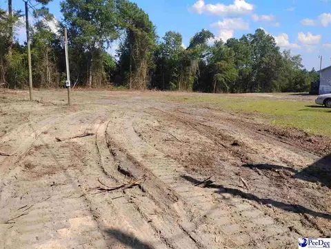 Other - 7333 7315 Highway 52 S, Society Hill, SC 29593 photo 8 of 12