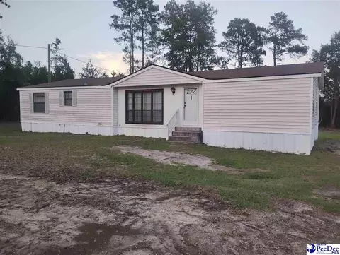 Other - 7333 7315 Highway 52 S, Society Hill, SC 29593 photo 5 of 12