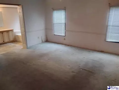 Other - 7333 7315 Highway 52 S, Society Hill, SC 29593 photo 11 of 12