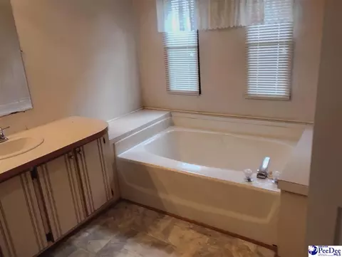 Bath - 7333 7315 Highway 52 S, Society Hill, SC 29593 photo 6 of 6