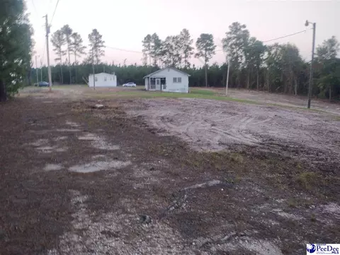 Other - 7333 7315 Highway 52 S, Society Hill, SC 29593 photo 4 of 12