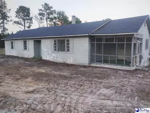 Exterior - 7333 7315 Highway 52 S, Society Hill, SC 29593 photo 2 of 3