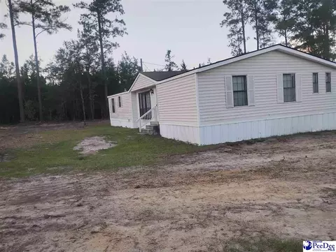 Other - 7333 7315 Highway 52 S, Society Hill, SC 29593 photo 6 of 12