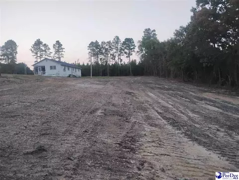Other - 7333 7315 Highway 52 S, Society Hill, SC 29593 photo 1 of 12
