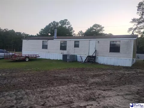 Other - 7333 7315 Highway 52 S, Society Hill, SC 29593 photo 7 of 12