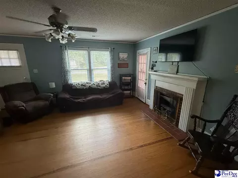 Living - 222 E Hampton St, Olanta, SC 29114 photo 3 of 3