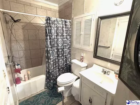 Bath - 222 E Hampton St, Olanta, SC 29114 photo 2 of 7