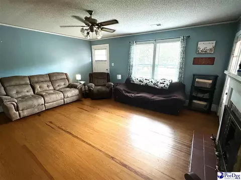 Living - 222 E Hampton St, Olanta, SC 29114 photo 2 of 3