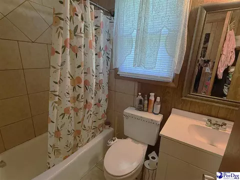 Bath - 222 E Hampton St, Olanta, SC 29114 photo 6 of 7