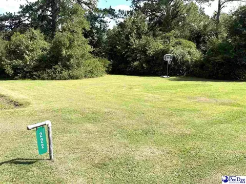 Other - 222 E Hampton St, Olanta, SC 29114 photo 5 of 5
