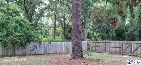 Exterior - 200 State Rd, Cheraw, SC 29520 photo 2 of 3