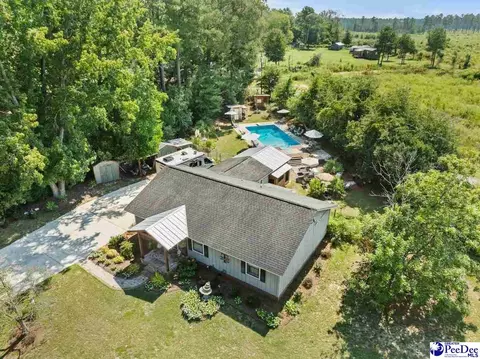 Other - 531 Bridlewood Rd, Cheraw, SC 29520 photo 7 of 7