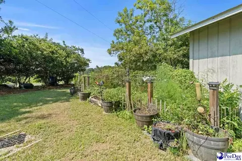 Exterior - 531 Bridlewood Rd, Cheraw, SC 29520 photo 14 of 17