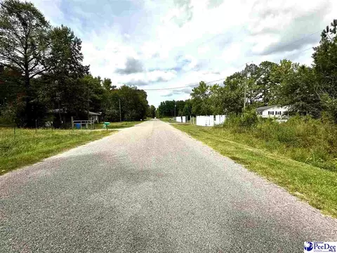 tbd Willowtree Rd, Darlington, SC 29540 photo 2
