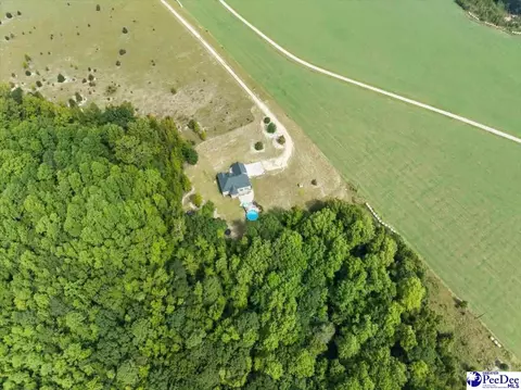 Other - 850 Sandbox Rd, Lamar, SC 29069 photo 13 of 15