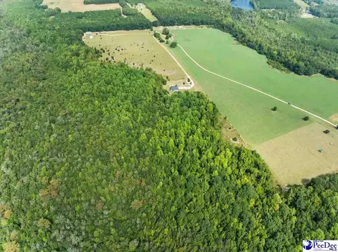 Other - 850 Sandbox Rd, Lamar, SC 29069 photo 14 of 15