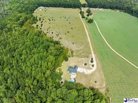 View/Area - 850 Sandbox Rd, Lamar, SC 29069 photo 3 of 4