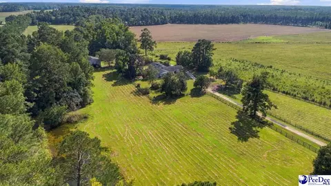 Other - 4173 Bluff Rd, Mullins, SC 29574 photo 21 of 25