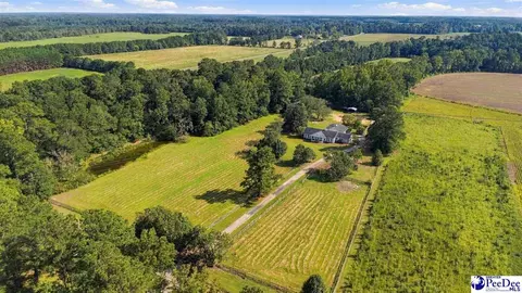 Other - 4173 Bluff Rd, Mullins, SC 29574 photo 19 of 25