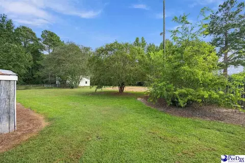 Exterior - 4173 Bluff Rd, Mullins, SC 29574 photo 5 of 11