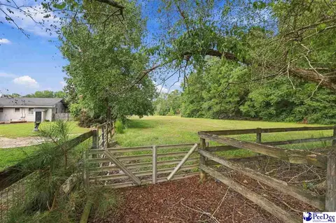Exterior - 4173 Bluff Rd, Mullins, SC 29574 photo 11 of 11