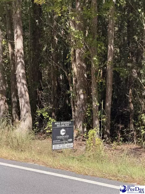 tbd Salem Road Tract 4, Bennettsville, SC 29512