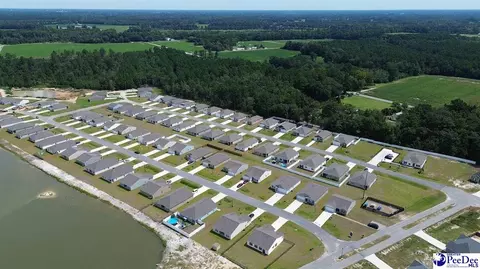 View/Area - 2079 E Paces Trl, Darlington, SC 29532 photo 1 of 4