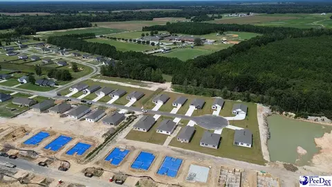 View/Area - 2079 E Paces Trl, Darlington, SC 29532 photo 3 of 4