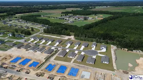 View/Area - 2079 E Paces Trl, Darlington, SC 29532 photo 4 of 4