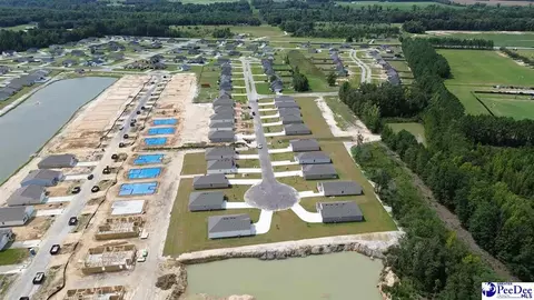 View/Area - 2079 E Paces Trl, Darlington, SC 29532 photo 2 of 4