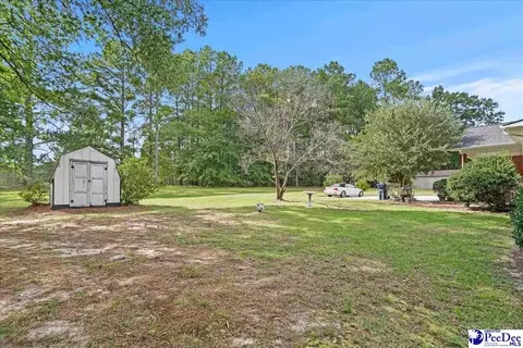 Exterior - 332 Ridge Rd, Cheraw, SC 29520 photo 11 of 14