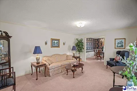 Living - 332 Ridge Rd, Cheraw, SC 29520 photo 1 of 4