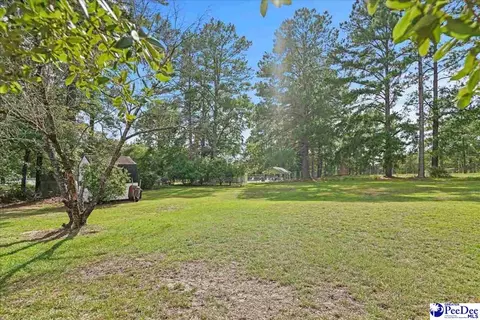 Exterior - 332 Ridge Rd, Cheraw, SC 29520 photo 9 of 14