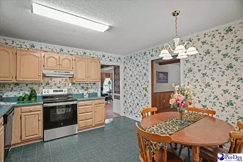 Kitchen - 332 Ridge Rd, Cheraw, SC 29520 photo 4 of 6