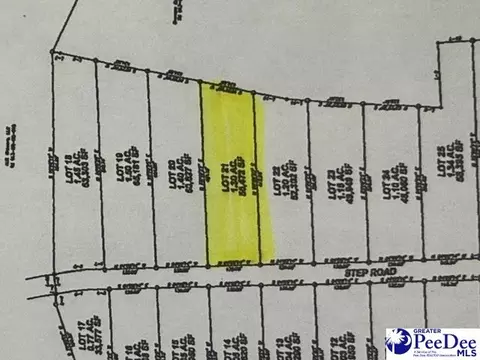 lot21 Step Rd, Wallace, SC 29596 photo 2