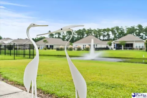 Other - 165 Bucky Loop, Murrells Inlet, SC 29576 photo 1 of 9
