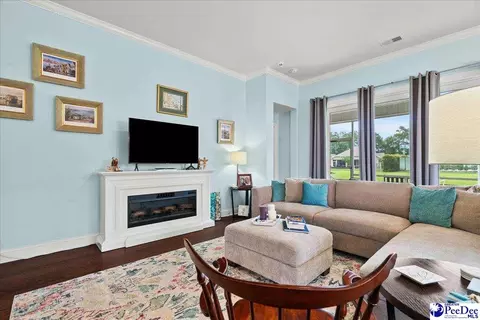 Living - 165 Bucky Loop, Murrells Inlet, SC 29576 photo 2 of 3