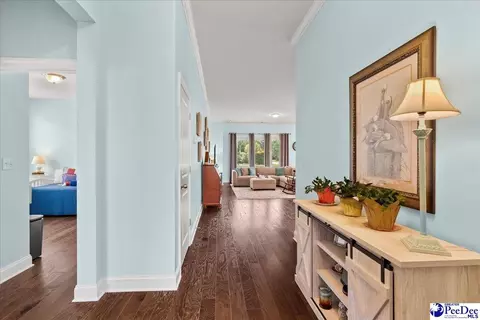 Entry Way - 165 Bucky Loop, Murrells Inlet, SC 29576 photo 2 of 4