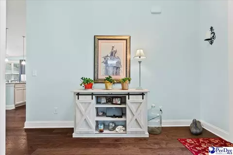 Entry Way - 165 Bucky Loop, Murrells Inlet, SC 29576 photo 3 of 4