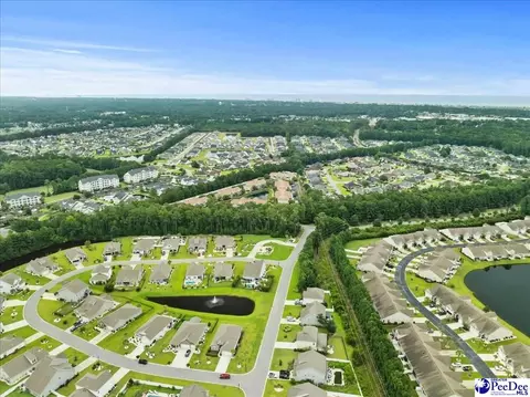 View/Area - 165 Bucky Loop, Murrells Inlet, SC 29576 photo 7 of 8