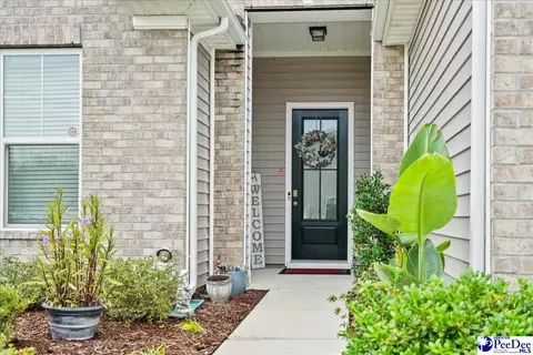 Exterior - 165 Bucky Loop, Murrells Inlet, SC 29576 photo 4 of 10